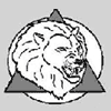 LION LTD
