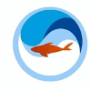 LOCAFISH AQUARIUM