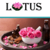 LOTUS ESANS