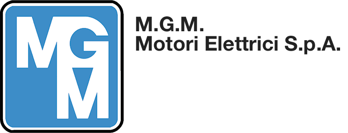M.G.M. motori elettrici SpA
