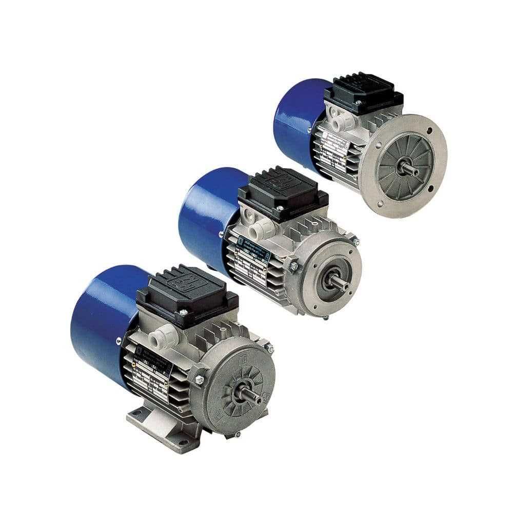 AC motor / BM series