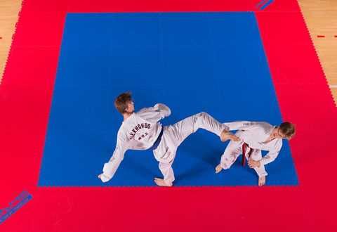 MMA Mats & Tatami Flooring