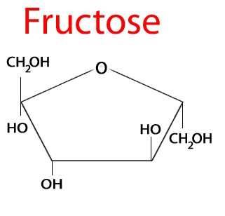 Fruktoz