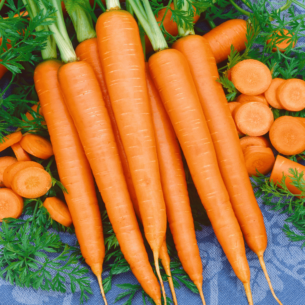 Морковь (навалом, веткой)