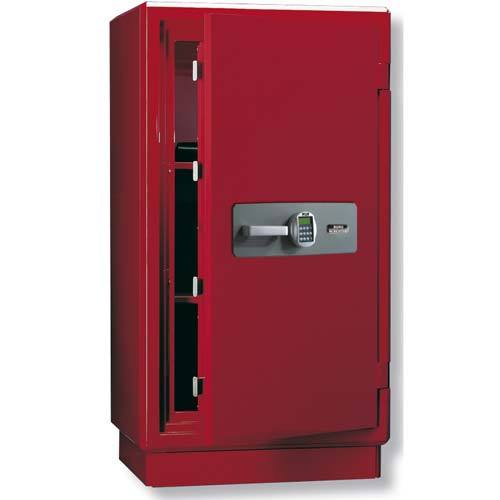 password fingerprint safes