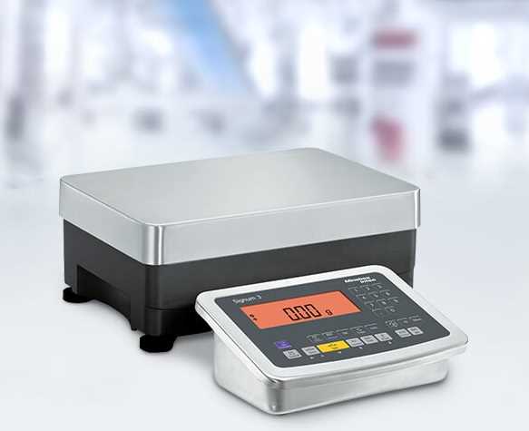 Bench & Floor Scales