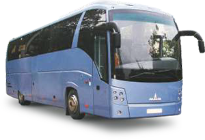 Buses  MAZ-251 The coach bus designed for long distance tours