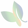 MIPLAE SRL