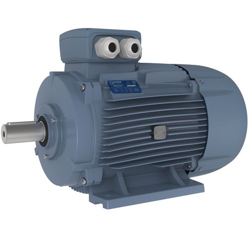 THREE-PHASE ELECTRIC MOTOR AC / 230V