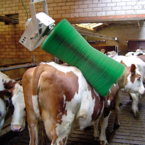 فرشاة تنظيف الأبقار والدواجن