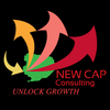 NEW CAP CONSULTING LTD