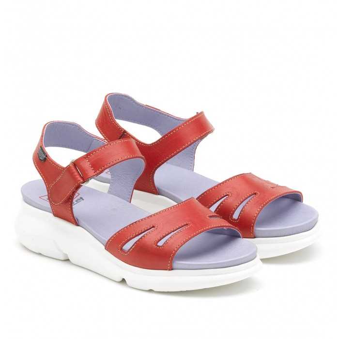 women's leather sandal shoes