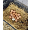 ONEFIVEFARMER
