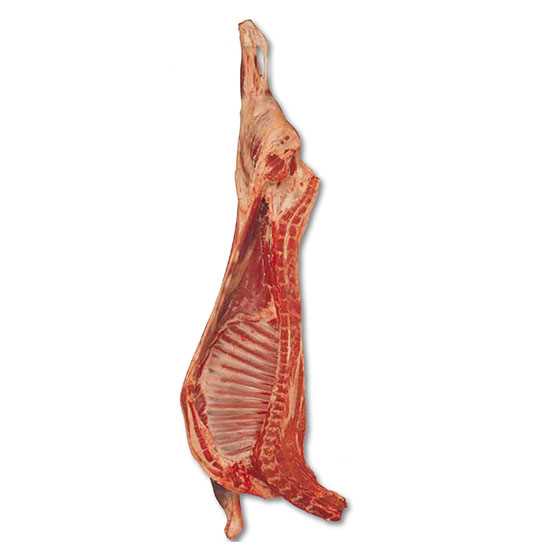 Mutton Carcass