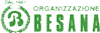 ORGANIZZAZIONE BESANA SNC