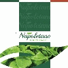 ORTONAPOLETANO SRLS