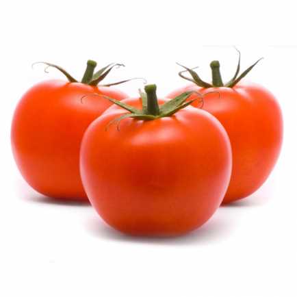 organic fresh tomatoes