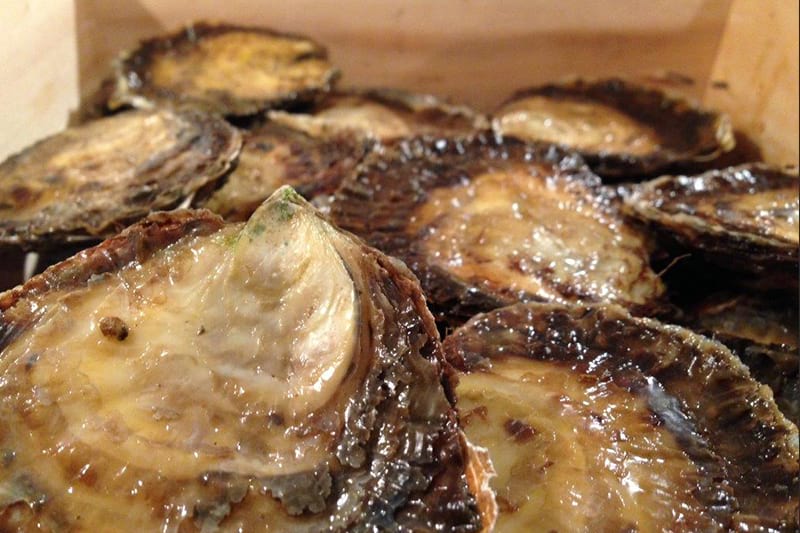 Plain Oyster - Ostrea edulis