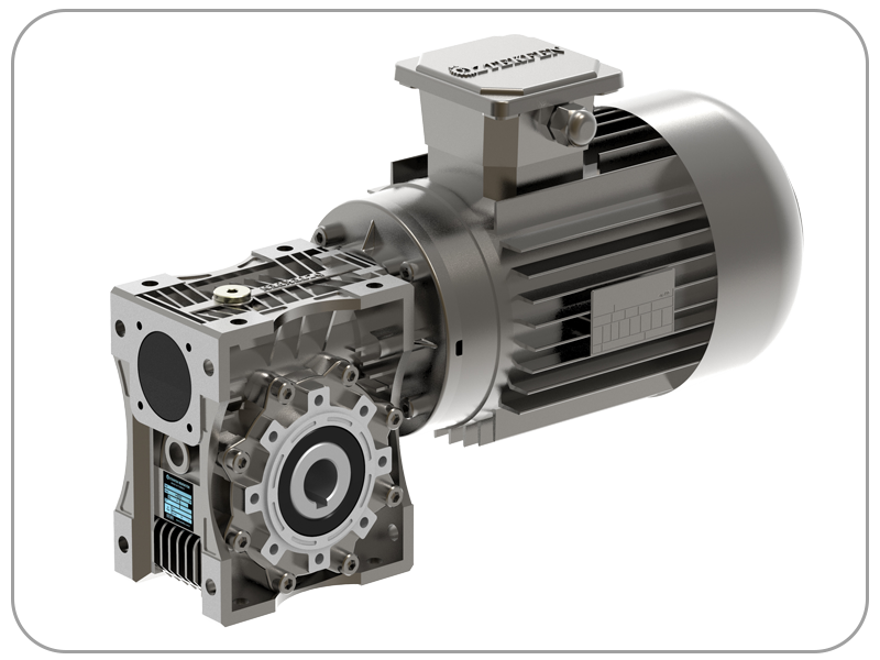 Esv Series Worm Gearbox