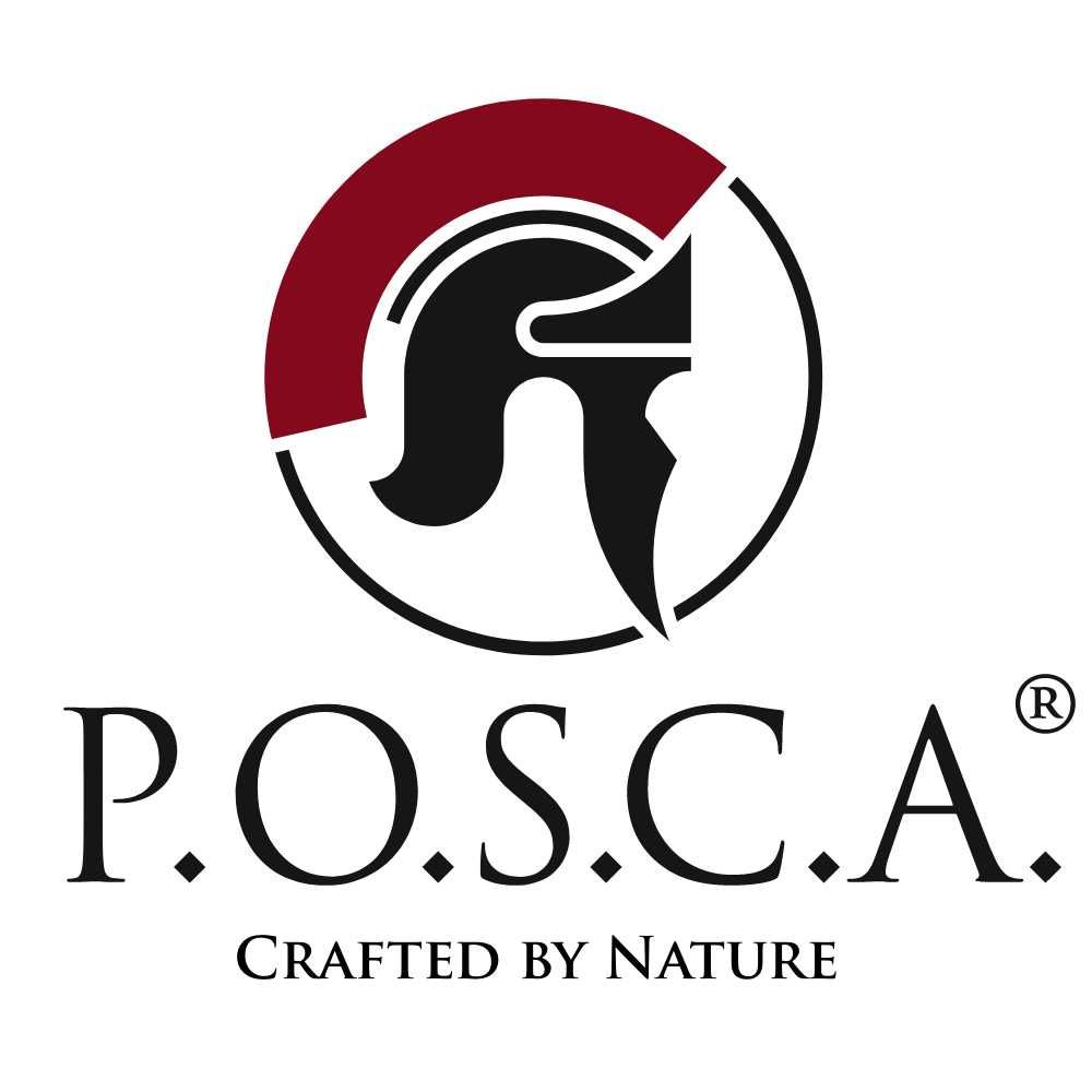 P.O.S.C.A. GmbH