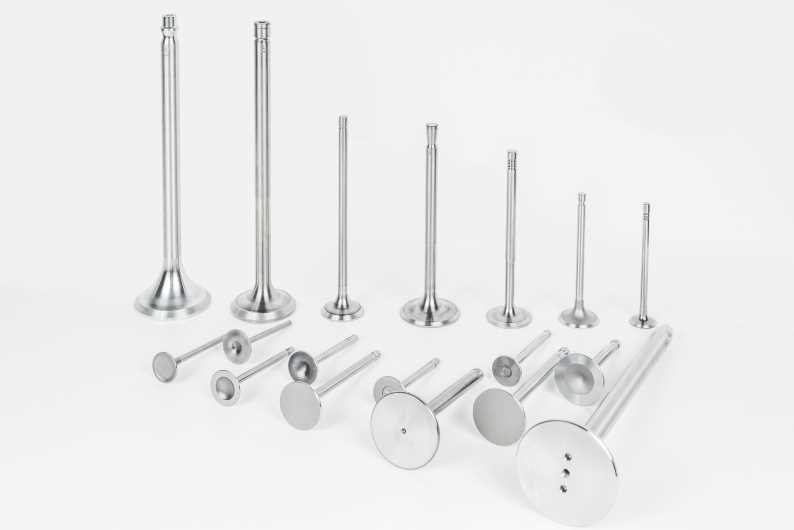 Engine Valves