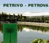 PETROVA PLANTS