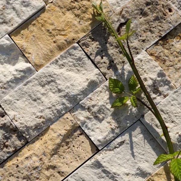 Travertino Mosaico 5.0x10.0 multicolor Spacco