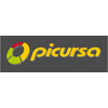 PICURSA