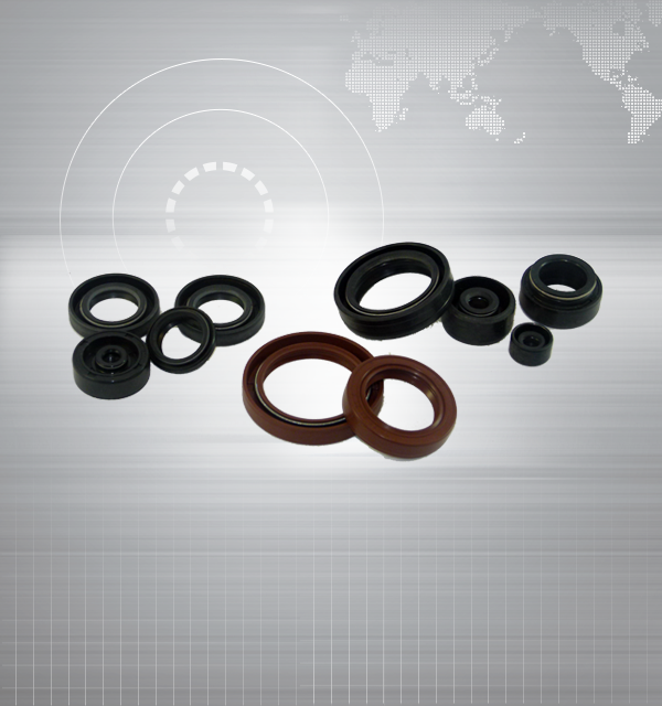 Oil Seal