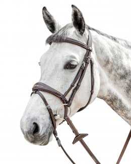 Bridles