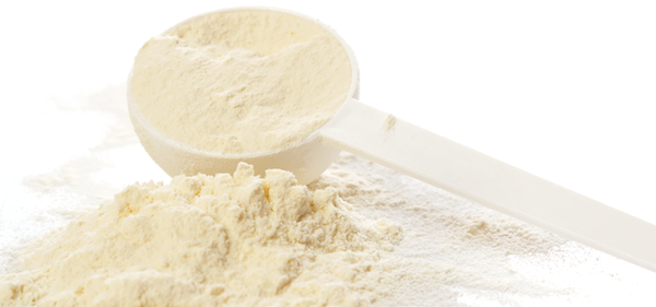 Demineralized whey powder