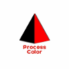 PROCESS COLOR SRL