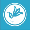 PROXIM TEXTILE