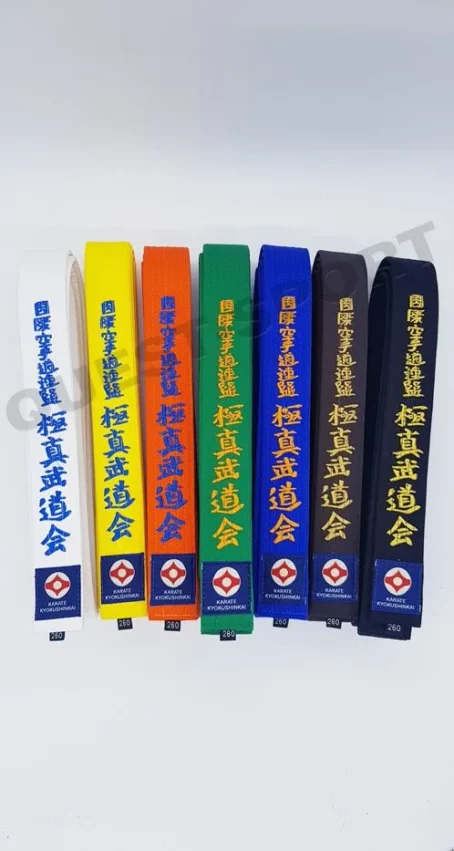 cinturones de karate