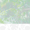 RATTAN DECO SA