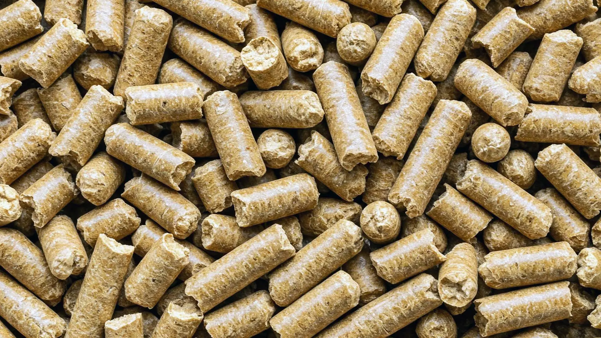 granulados para alimentação de galinhas