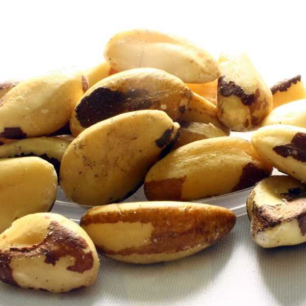 زيت الجوز البرازيلي العضوي