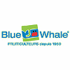 SAS BLUE WHALE