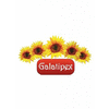 SC GALATEX OIL IMPORT SRL