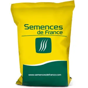 Early corn seed ACROPOLE