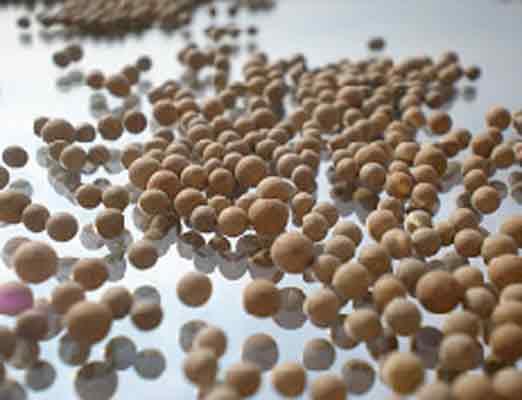 MOLECULAR SIEVES