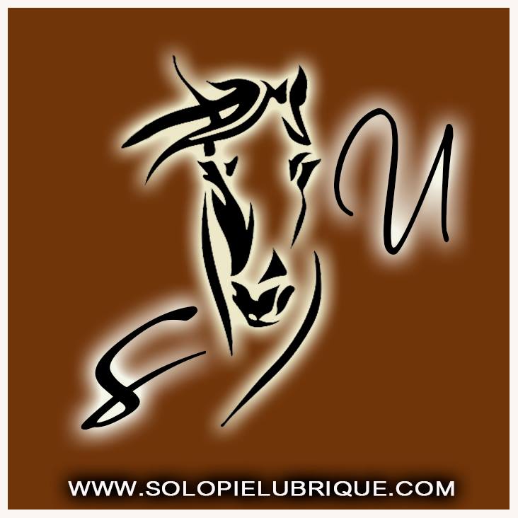 Solo Piel Ubrique