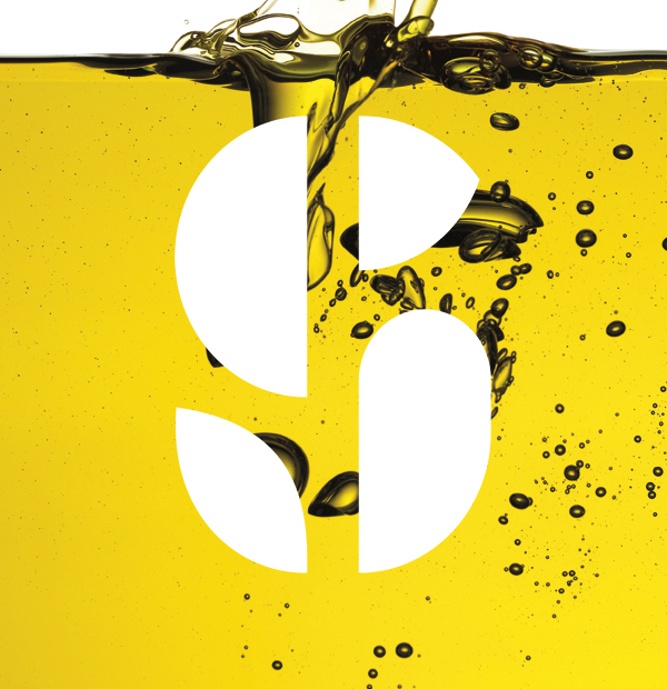 OLIVE OIL