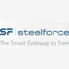 STEELFORCE NV