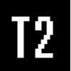 T2 SRL