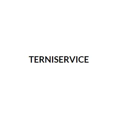 TERNISERVICE AUTO