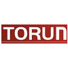 TORUN CELIK KAPI