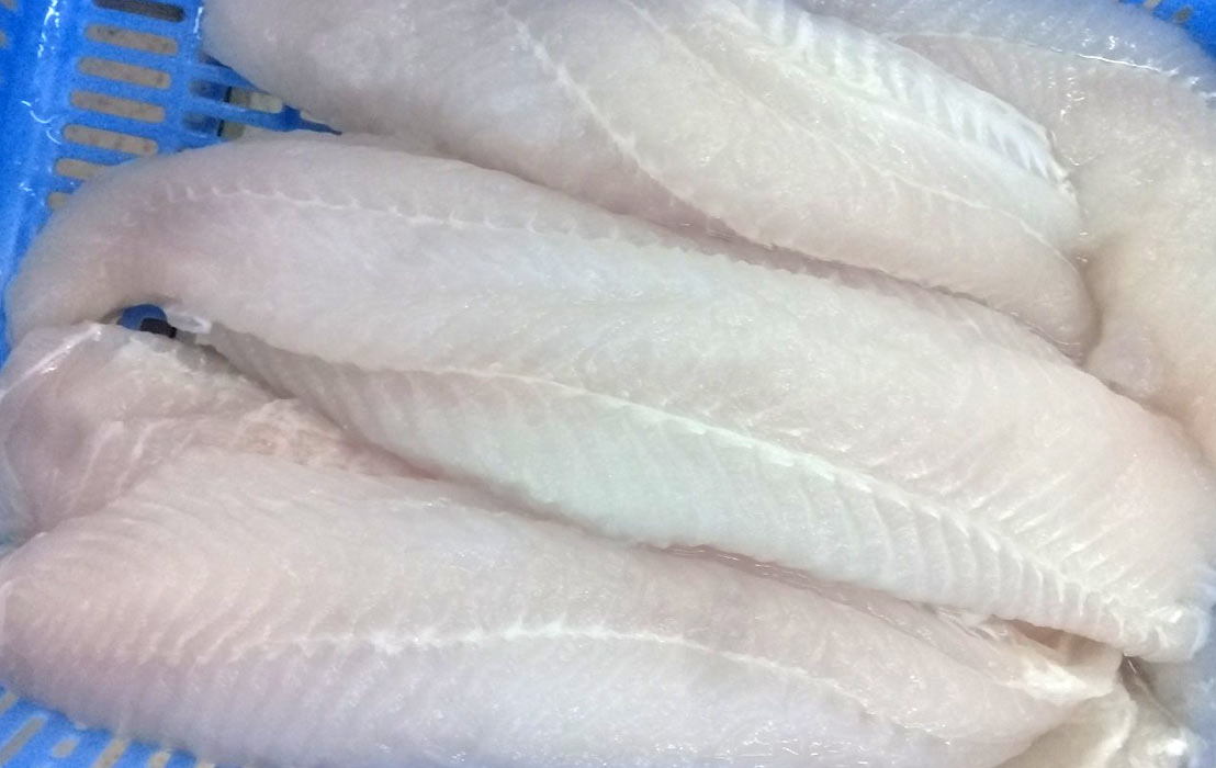 Frozen Pangasius Fillets Export Request