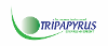 TRIPAPYRUS ENVIRONNEMENT