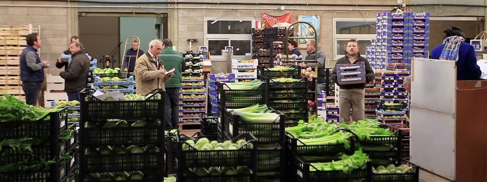 يوروبا إدارة سوق الخضروات